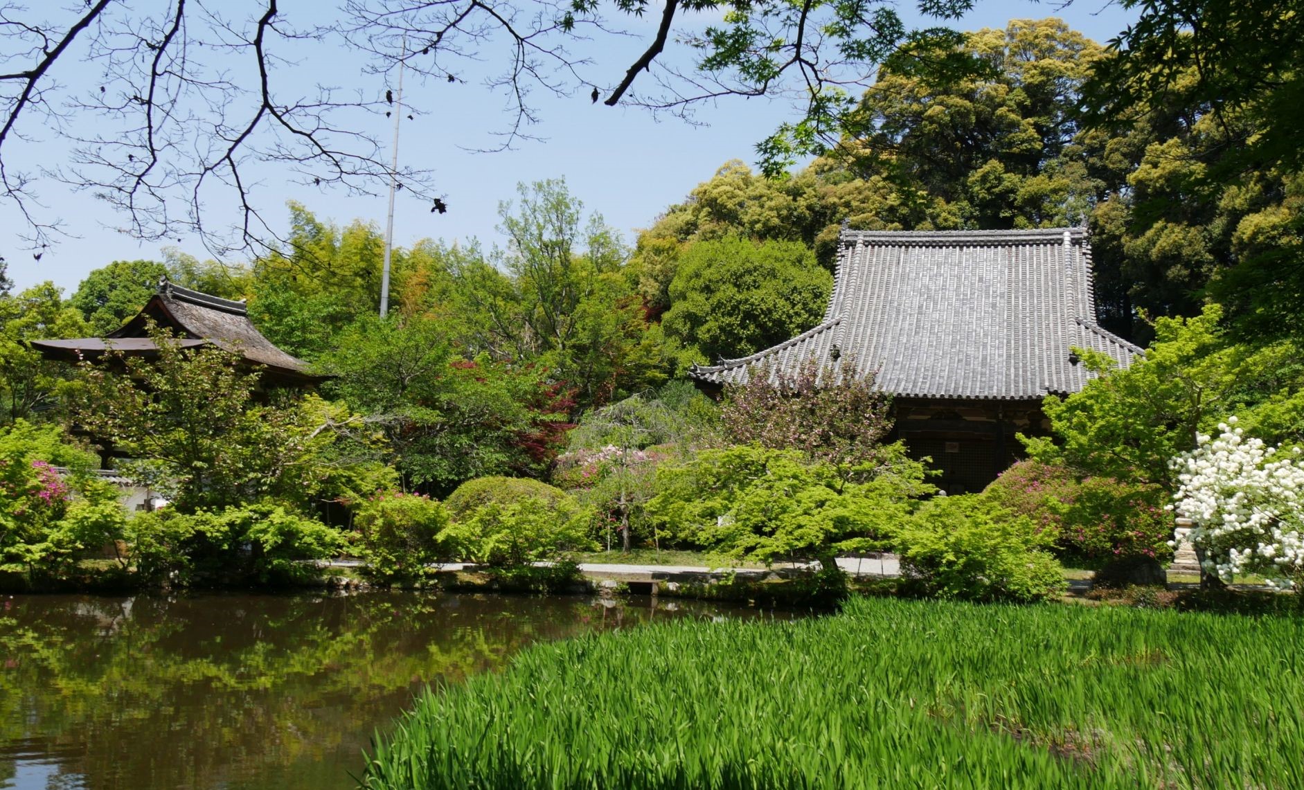 長岳寺本堂と鐘楼門