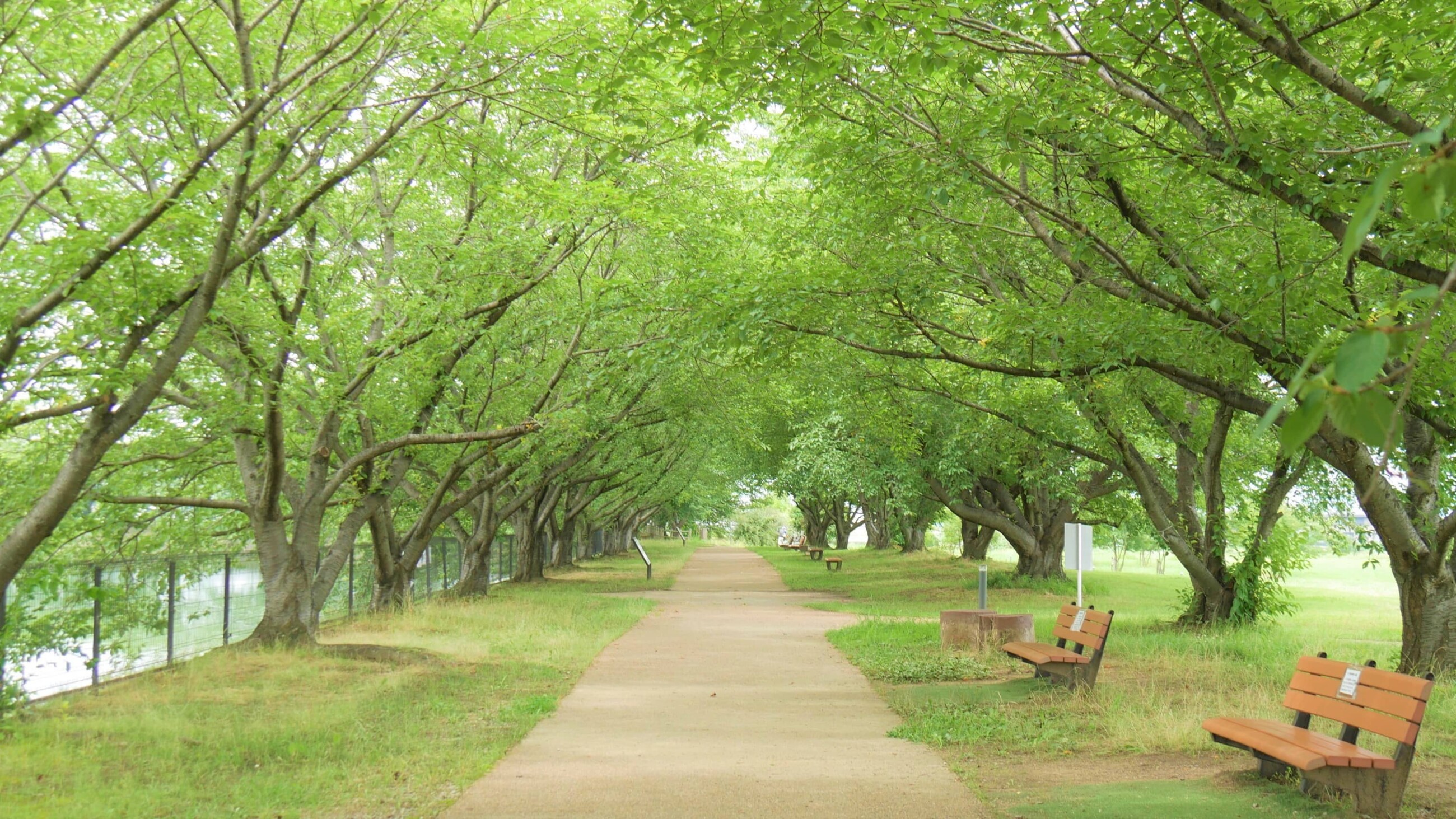 唐古・鍵遺跡史跡_唐古池の周囲