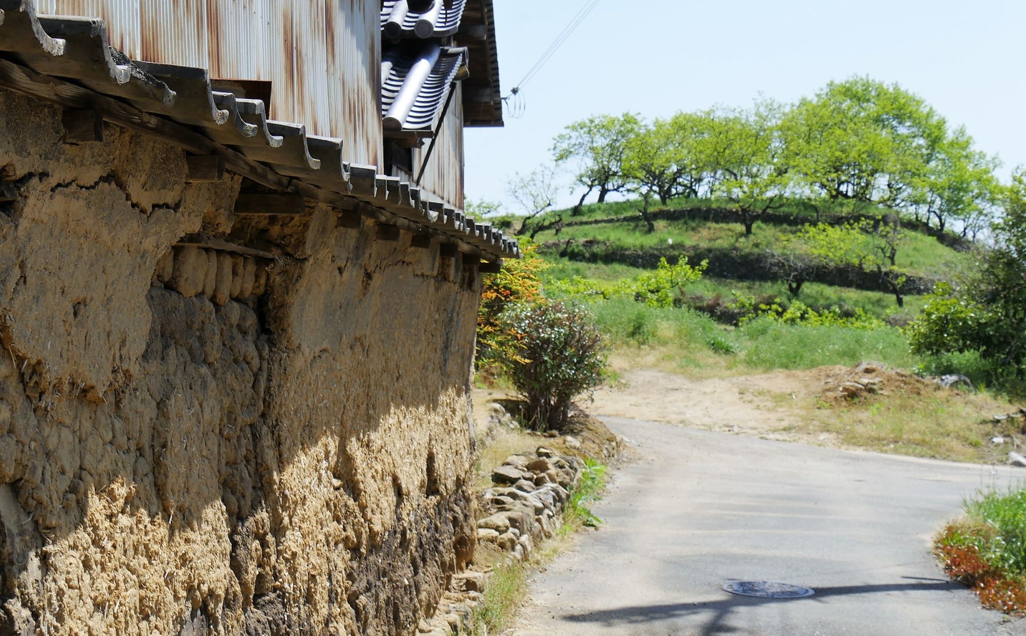 集落と古墳と果樹園がまじりあう山の辺の風景