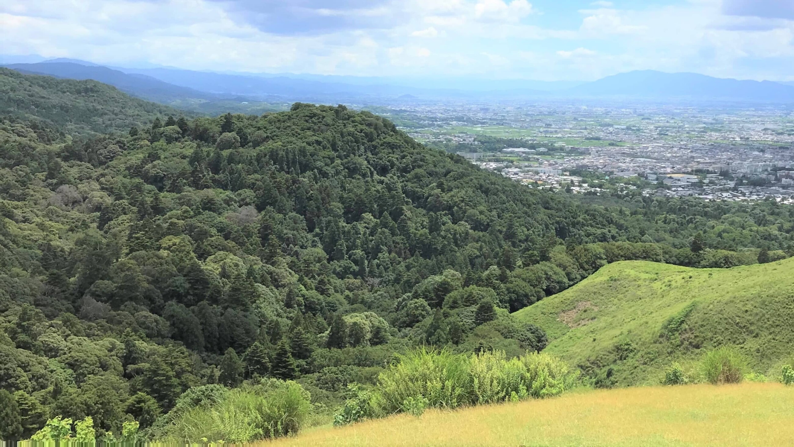 若草山から見た御蓋山と春日山原始林