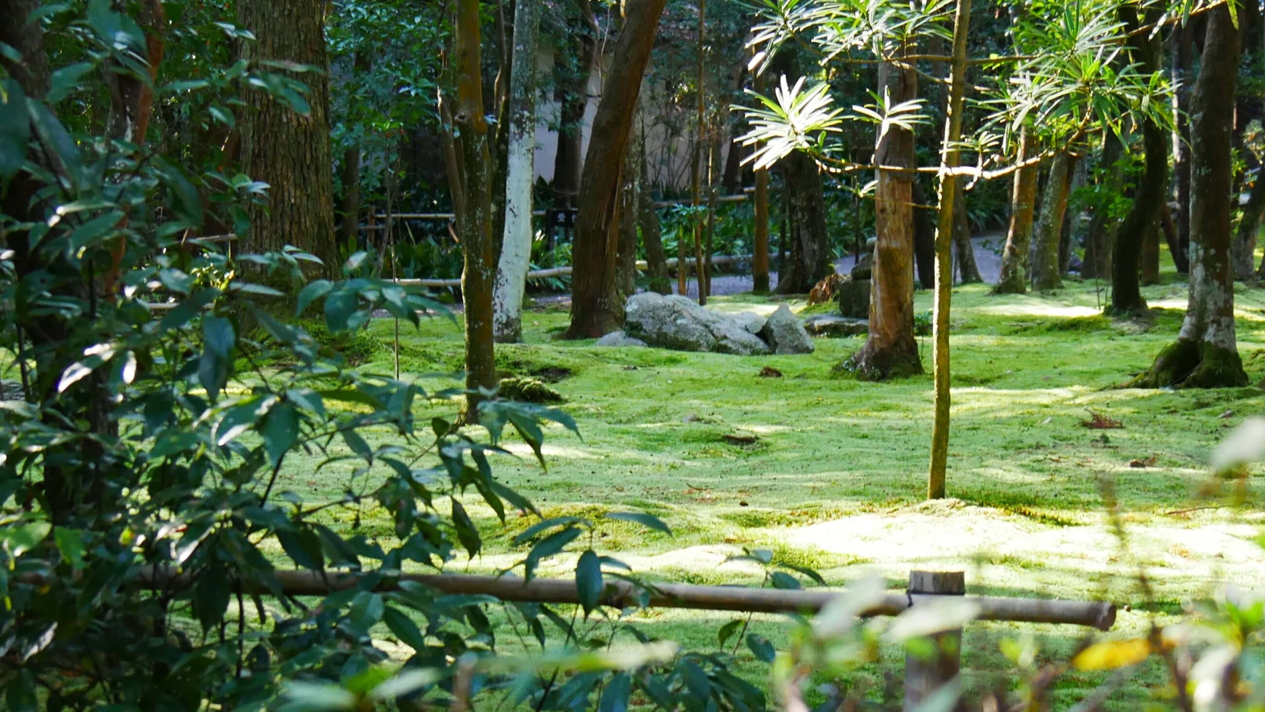 秋篠寺の美しい苔庭