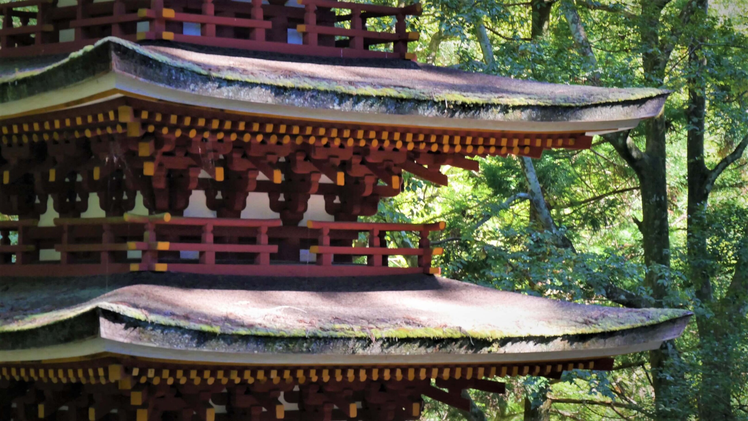 室生寺_国宝 五重塔