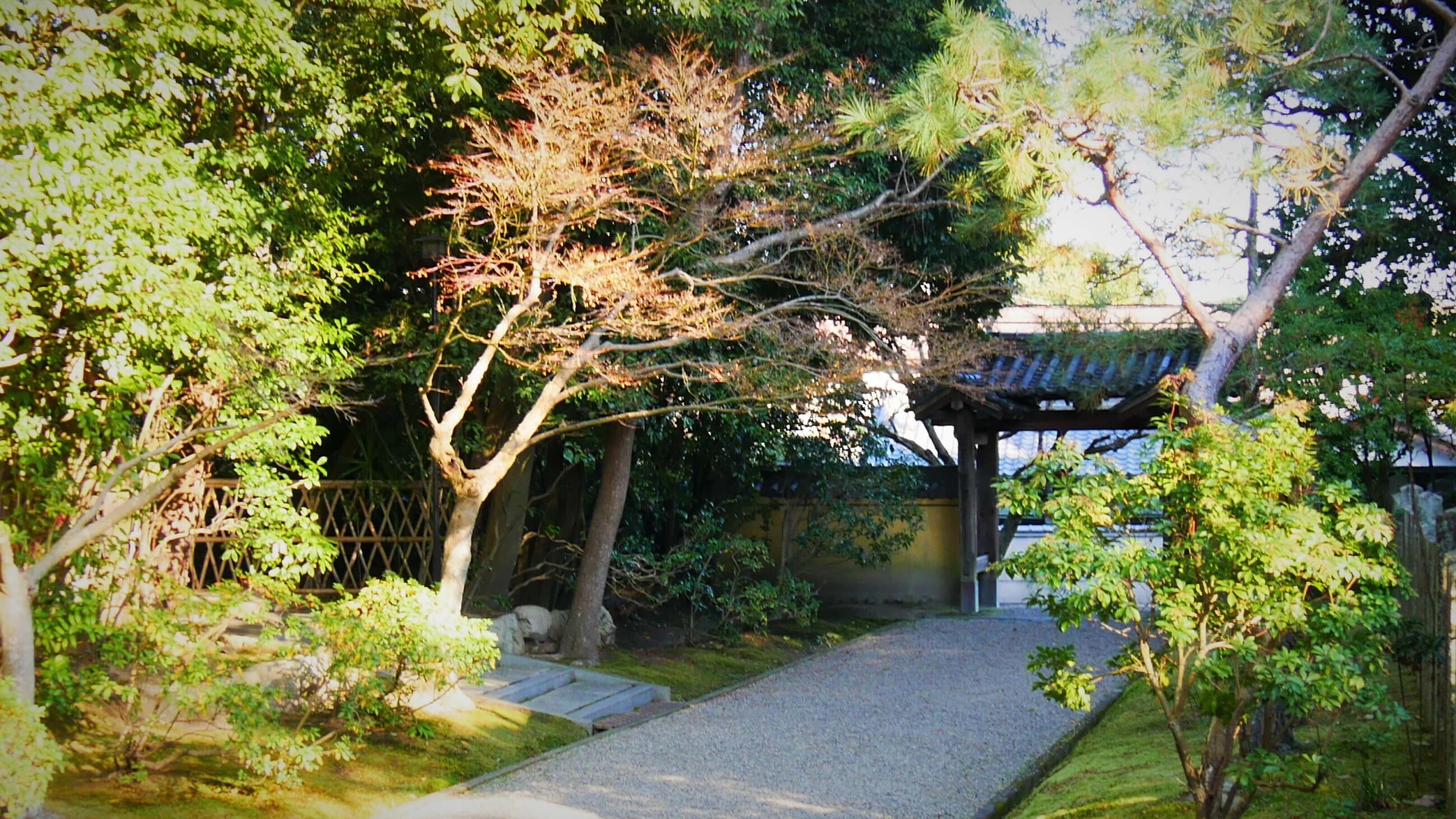 秋篠寺東門