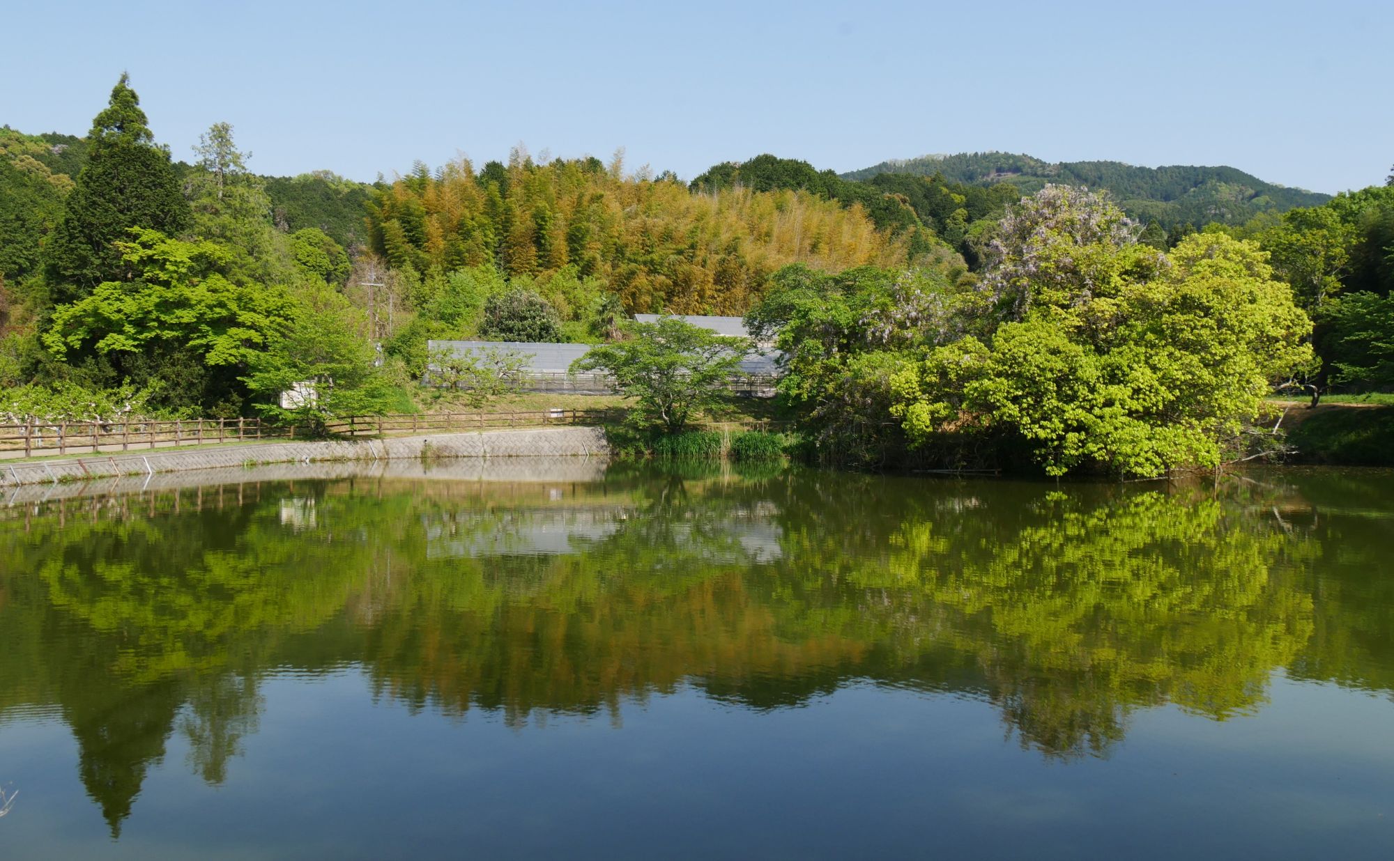 本堂池のみが残る内山永久寺跡