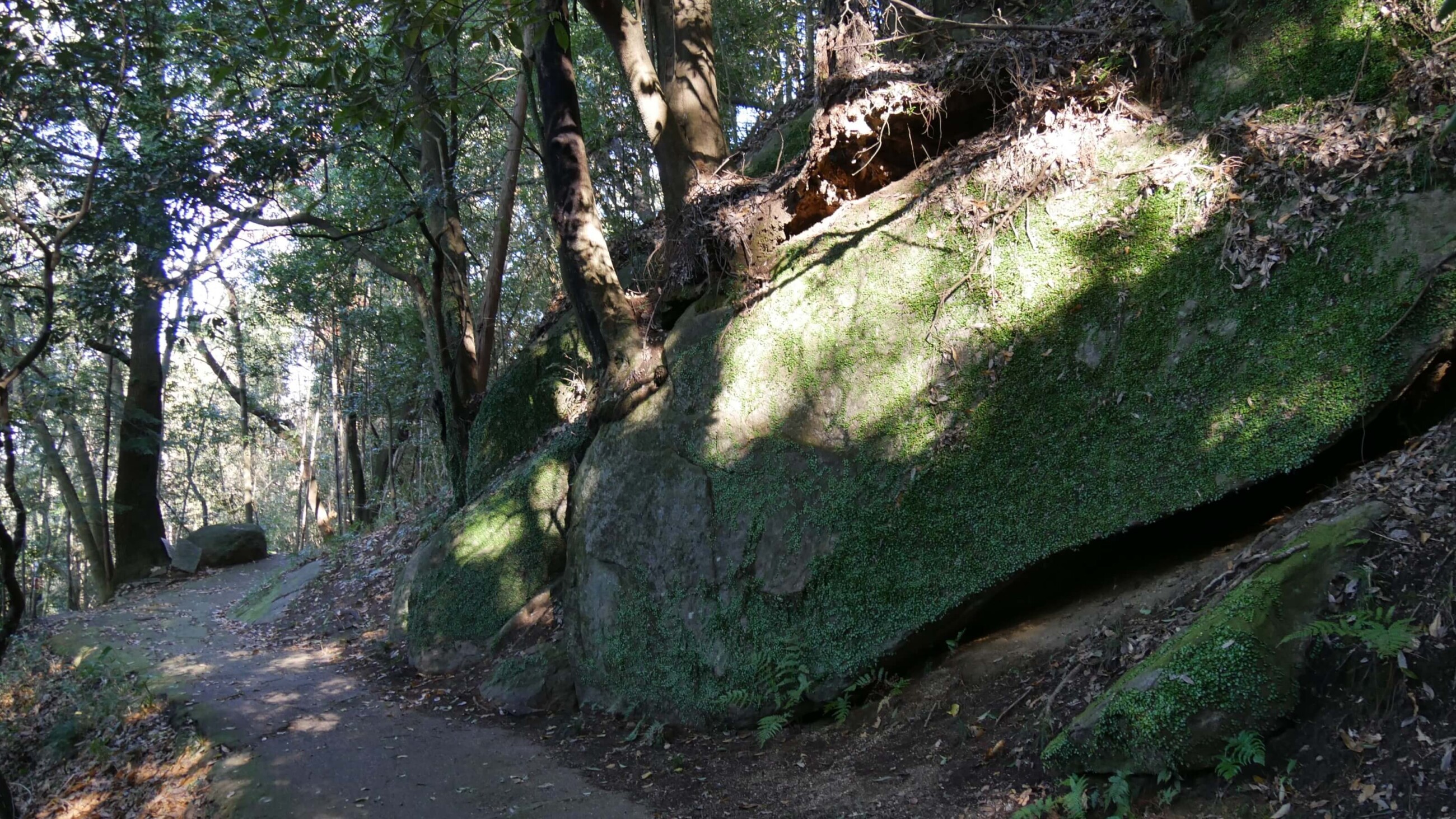 岩船寺近くの石仏の道