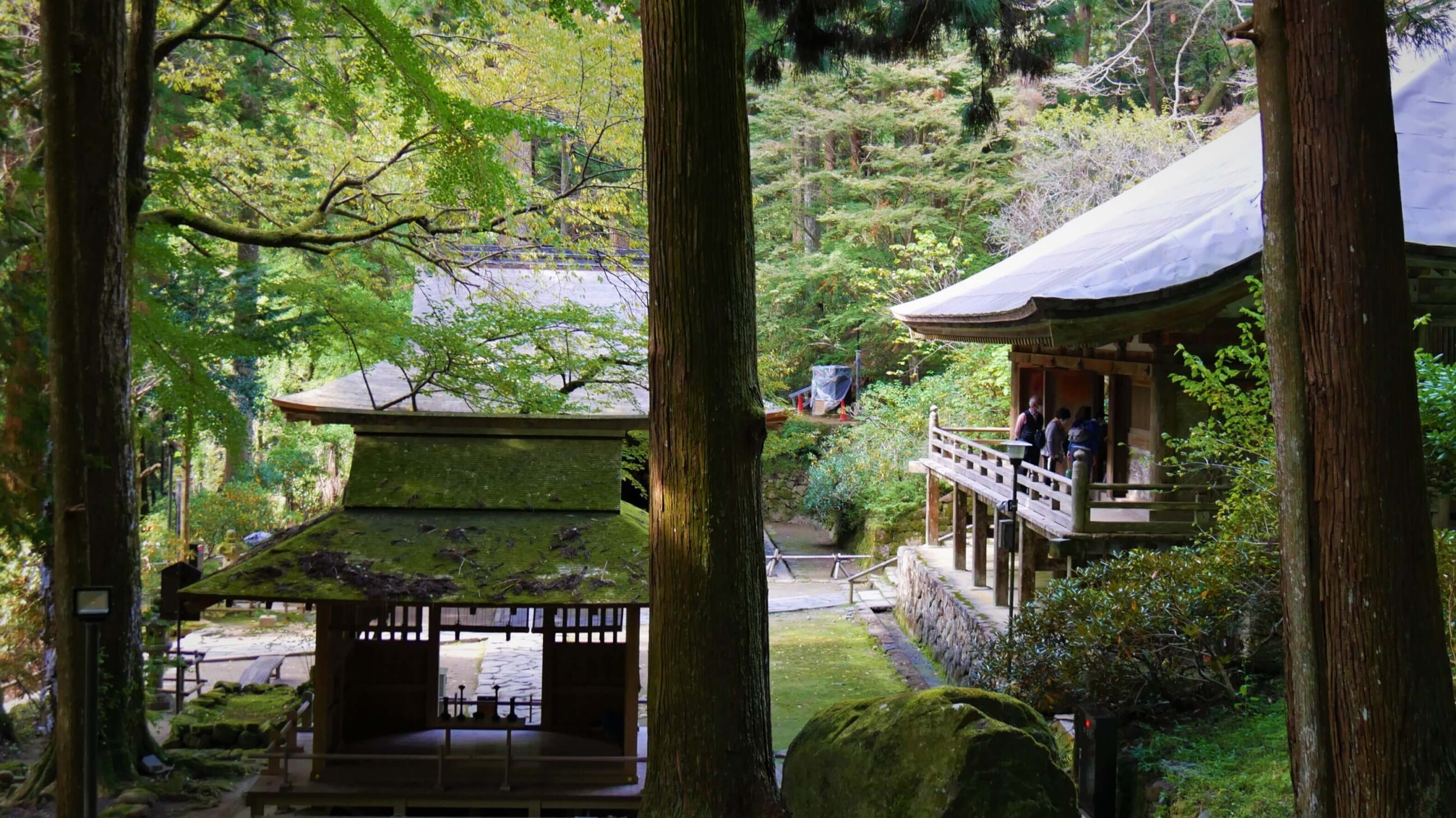天神社から金堂前庭を眺める