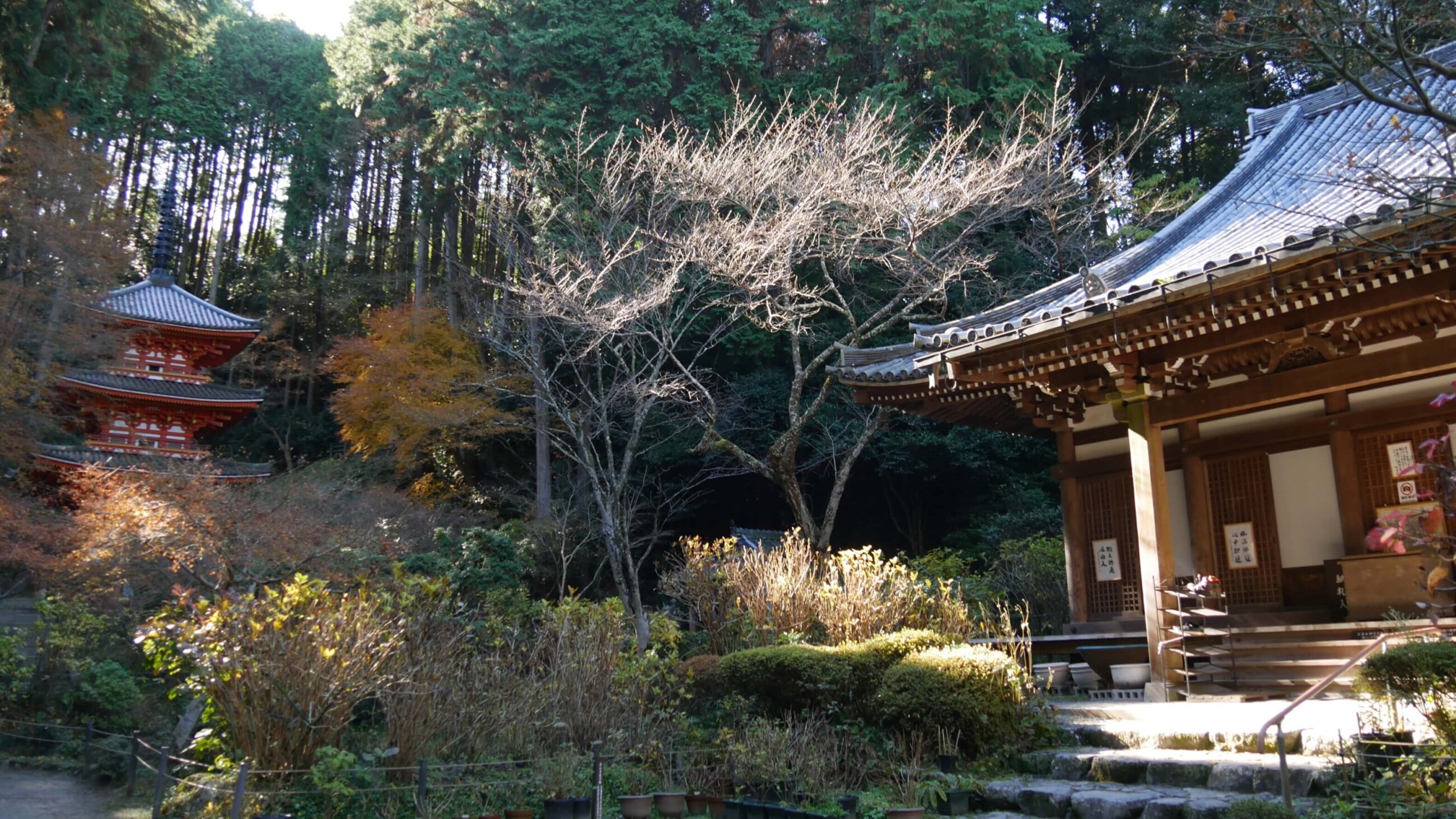 岩船寺本堂と三重塔