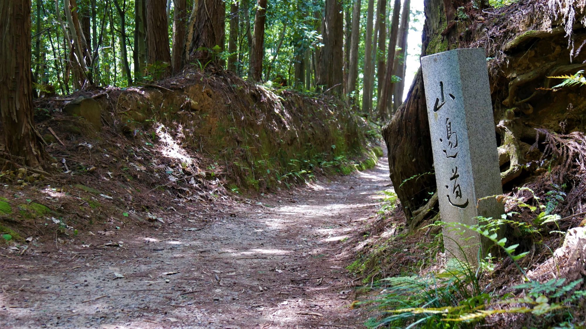 山の辺の道（桜井市三輪）