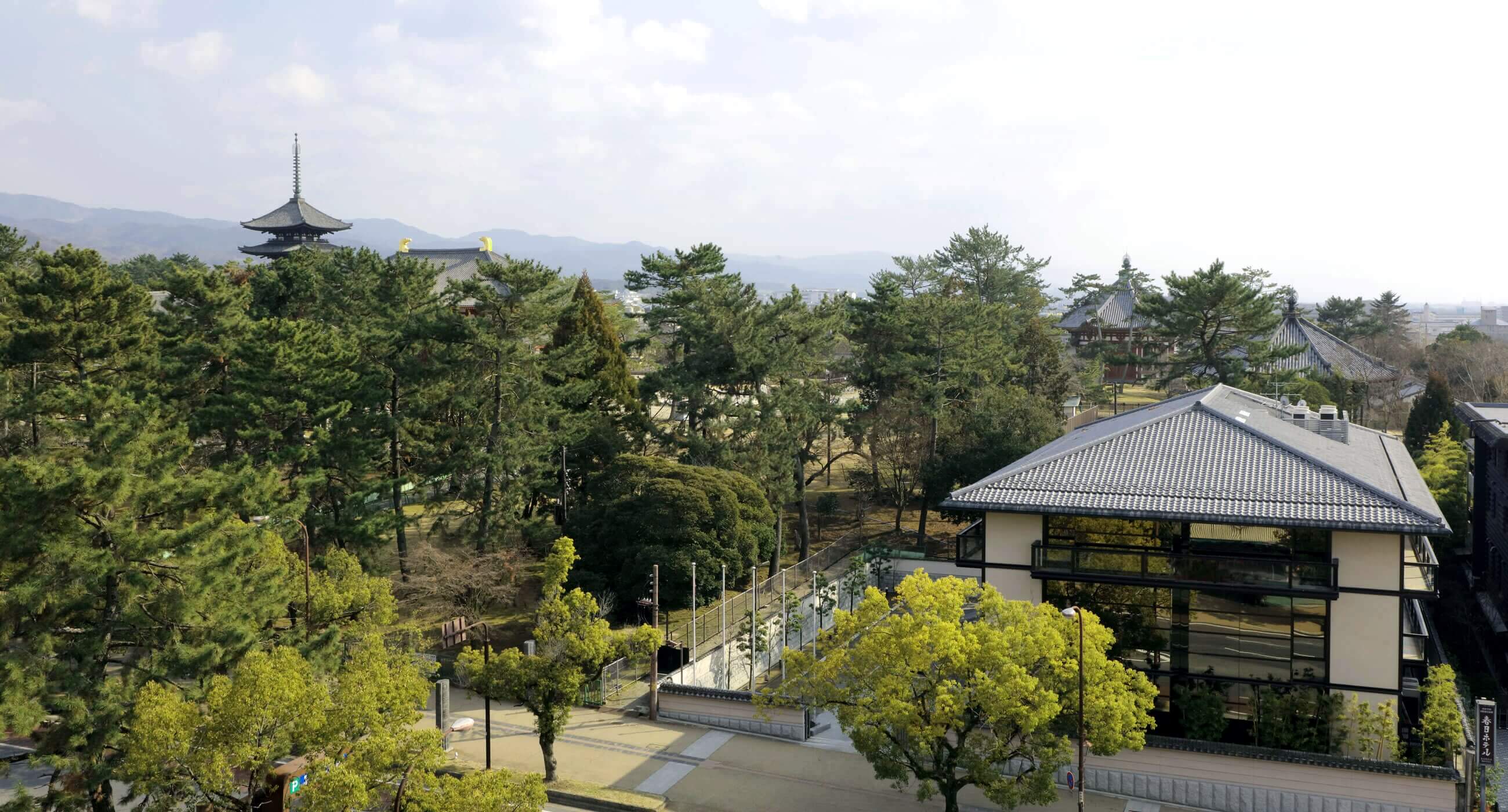 興福寺のたもとにある登大路ホテル奈良